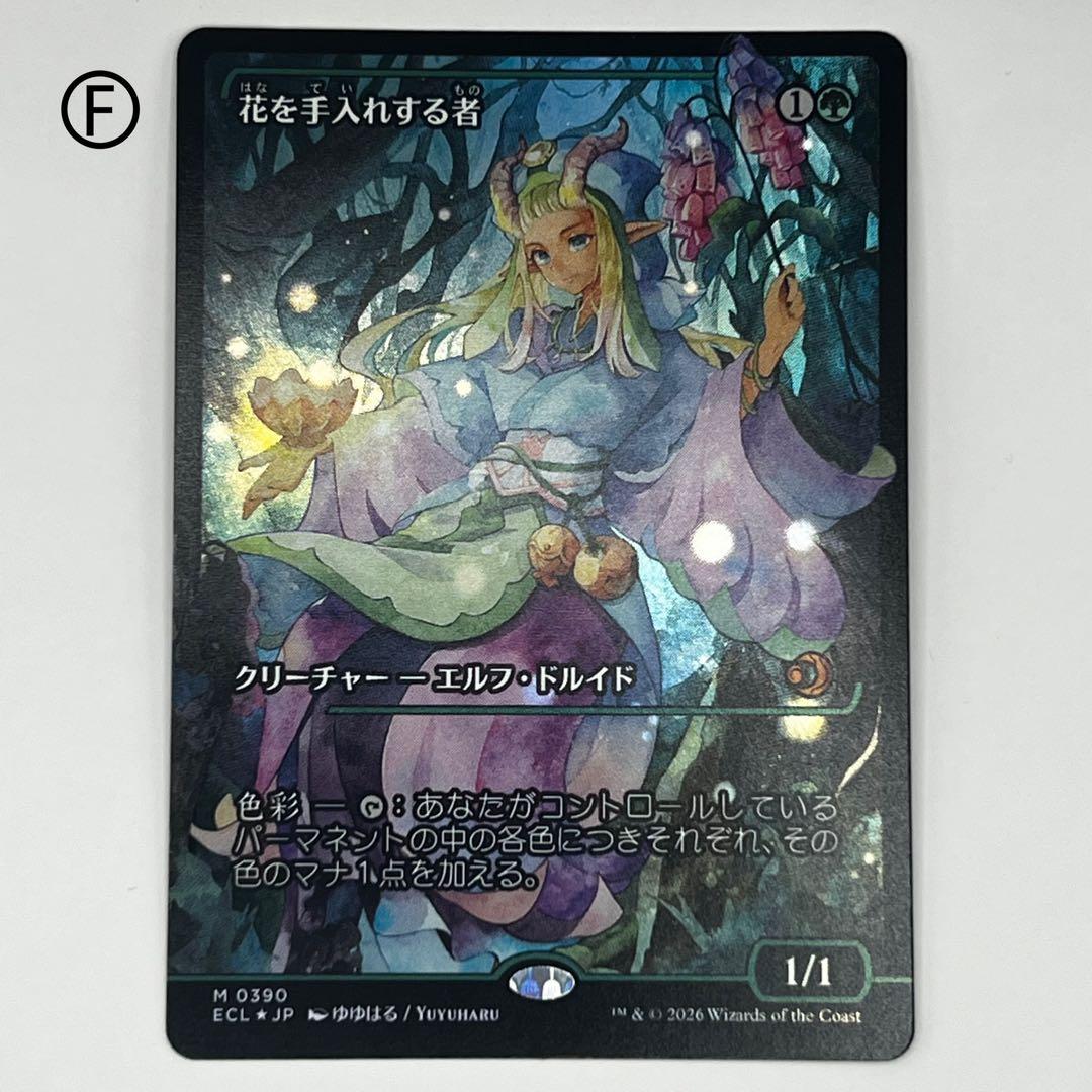MTG 花を手入れする者/Bloom Tender ショーケースfoil日ECL
