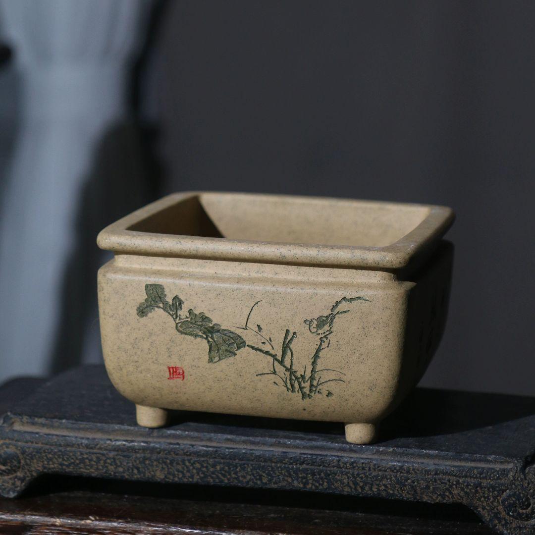 四方刻絵竹子紫砂鉢 大盆栽 小盆栽 多肉植物鉢