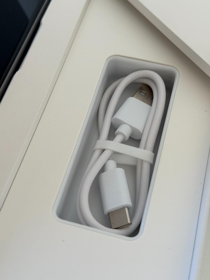 iFLYTEK Smart Dictionary Pen 辞書ペン ほぼ未使用