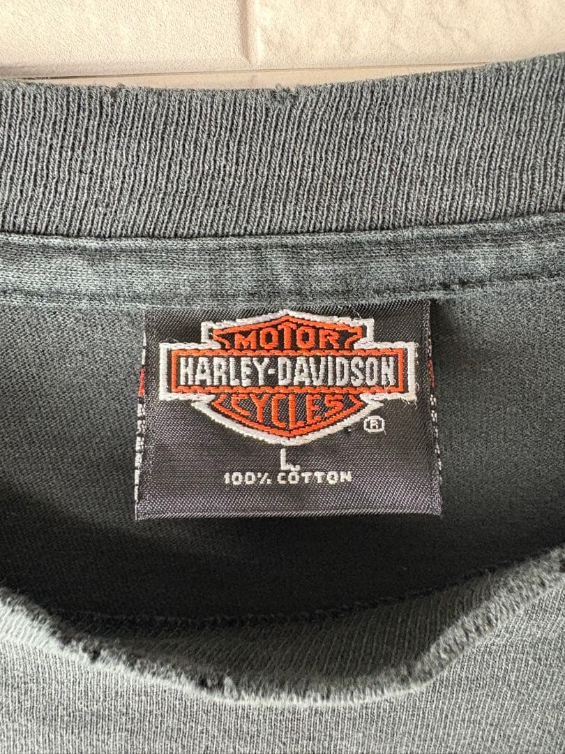 90s USA製ヴィンテージ　Harley-Davidson 袖フレイムTシャツ
