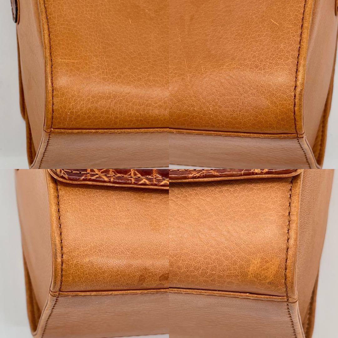 【希少品】LOEWE ショルダーバッグ 斜めがけ アナグラム シャイニングクロコ