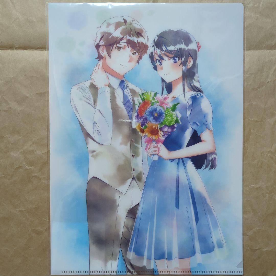 送料無料★10枚組 高校生編 青ブタ展A4クリアファイル/青春ブタ野郎29