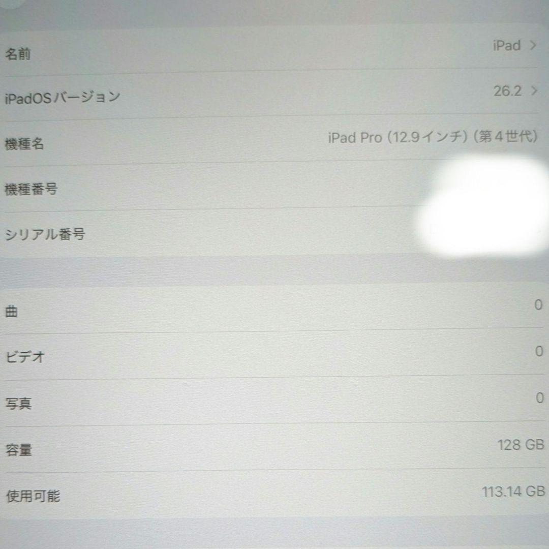 Apple iPad Pro (12.9インチ) 128GB
