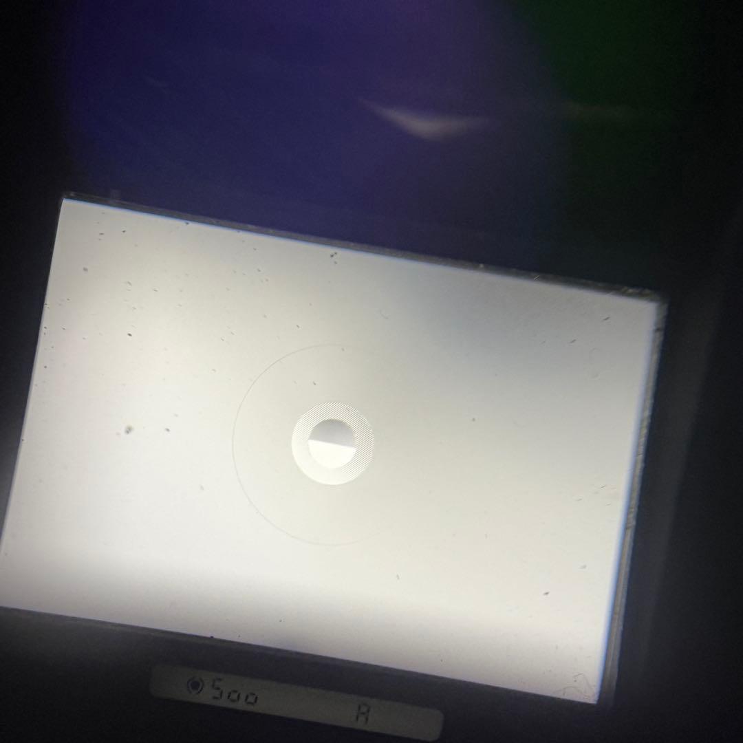 ☆ニコン F4☆ボディ Nikon カメラ 一眼レフ DP-20 簡易動作OK