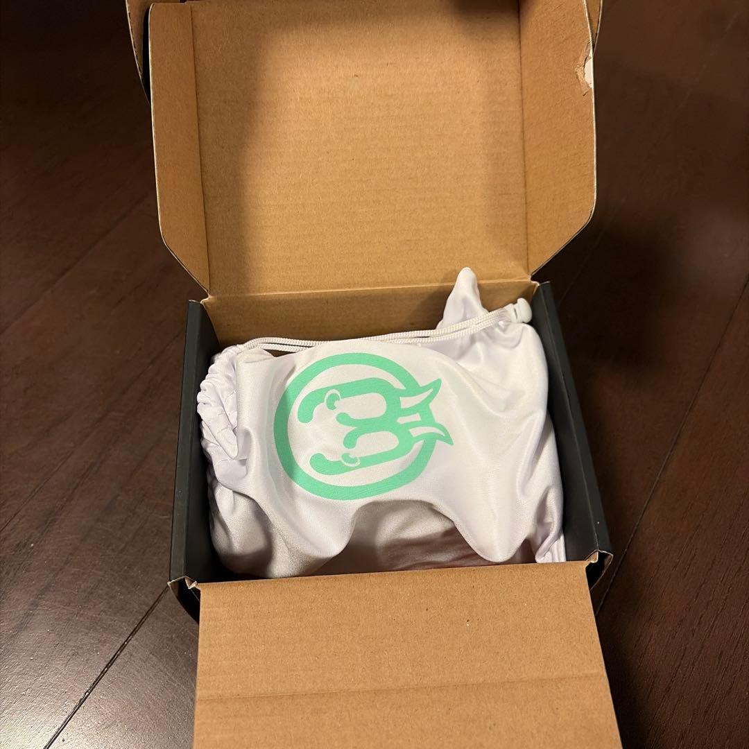 ギター walrus audio ERAS