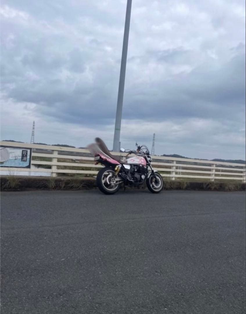 XJR400 茶色3段シート40cm