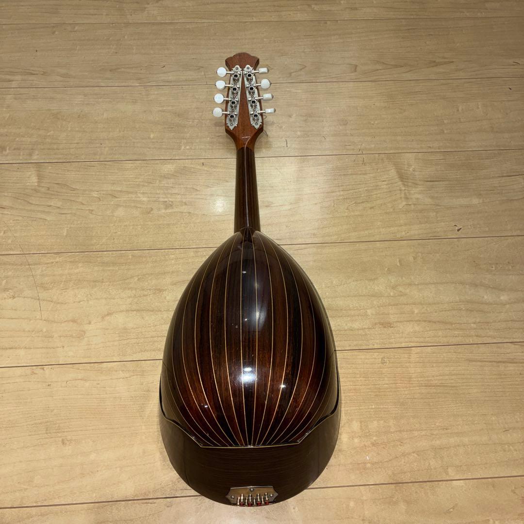 TSUNEO FUJIMARU MODEL ikegaku ANNO マンドリン