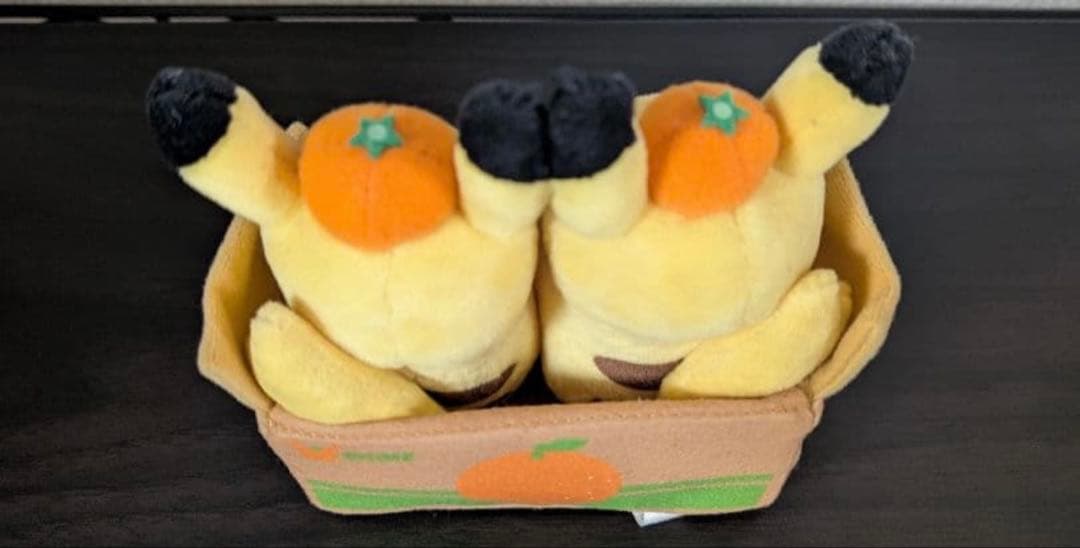 ペアピカチュウと愛媛みかん えひめ