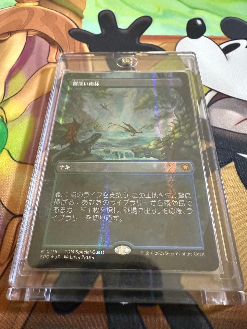 MTG 霧深い雨林/ Misty Rainforest　ドラゴンスケイルFoil