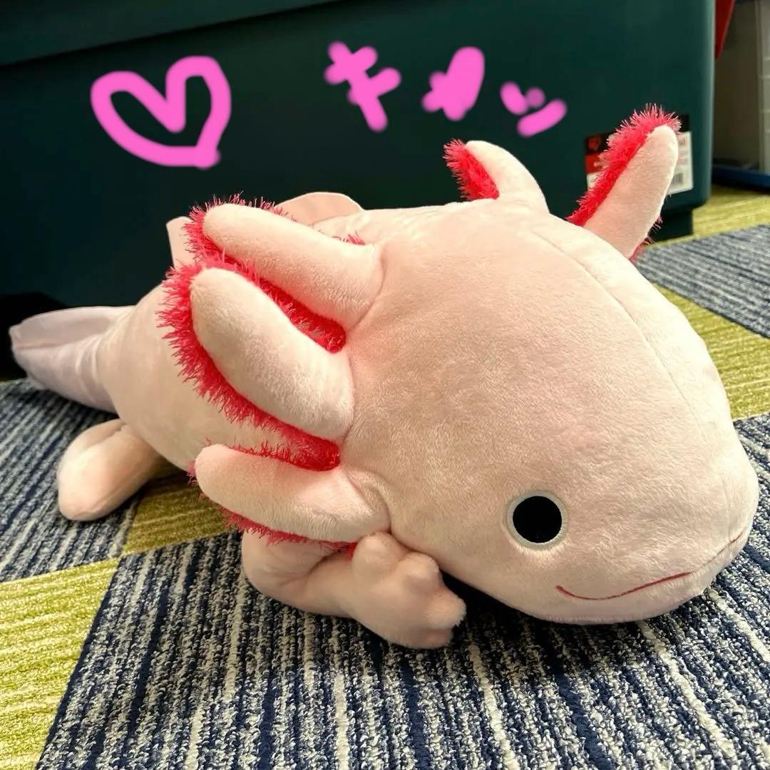 わくでかぬいぐるみ 珍獣捕獲シリーズ メガウーパールーパー