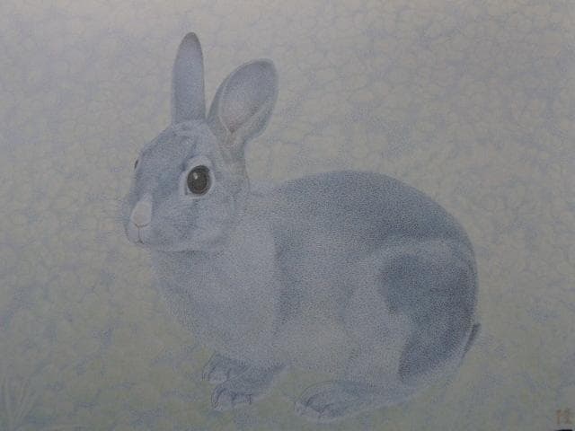 田中隆、【仔兎】、希少な額装用画集より、新品額装付、状態良好