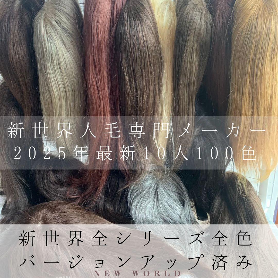 2025新世界　人毛100%　フルウィッグ　シルクスキン　医療ウィッグ　ブラック