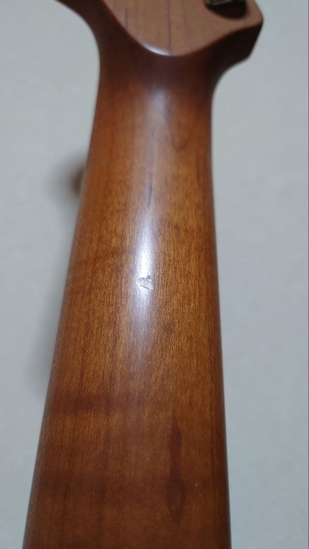 Harley Benton Fusion Ⅲ ギグバッグセット