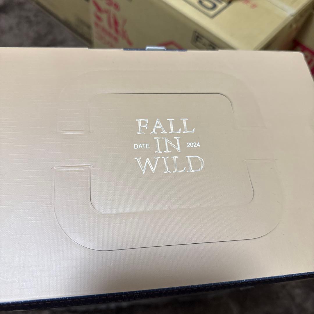 POP MART FALL IN WILD THE MONSTERS ラブブ