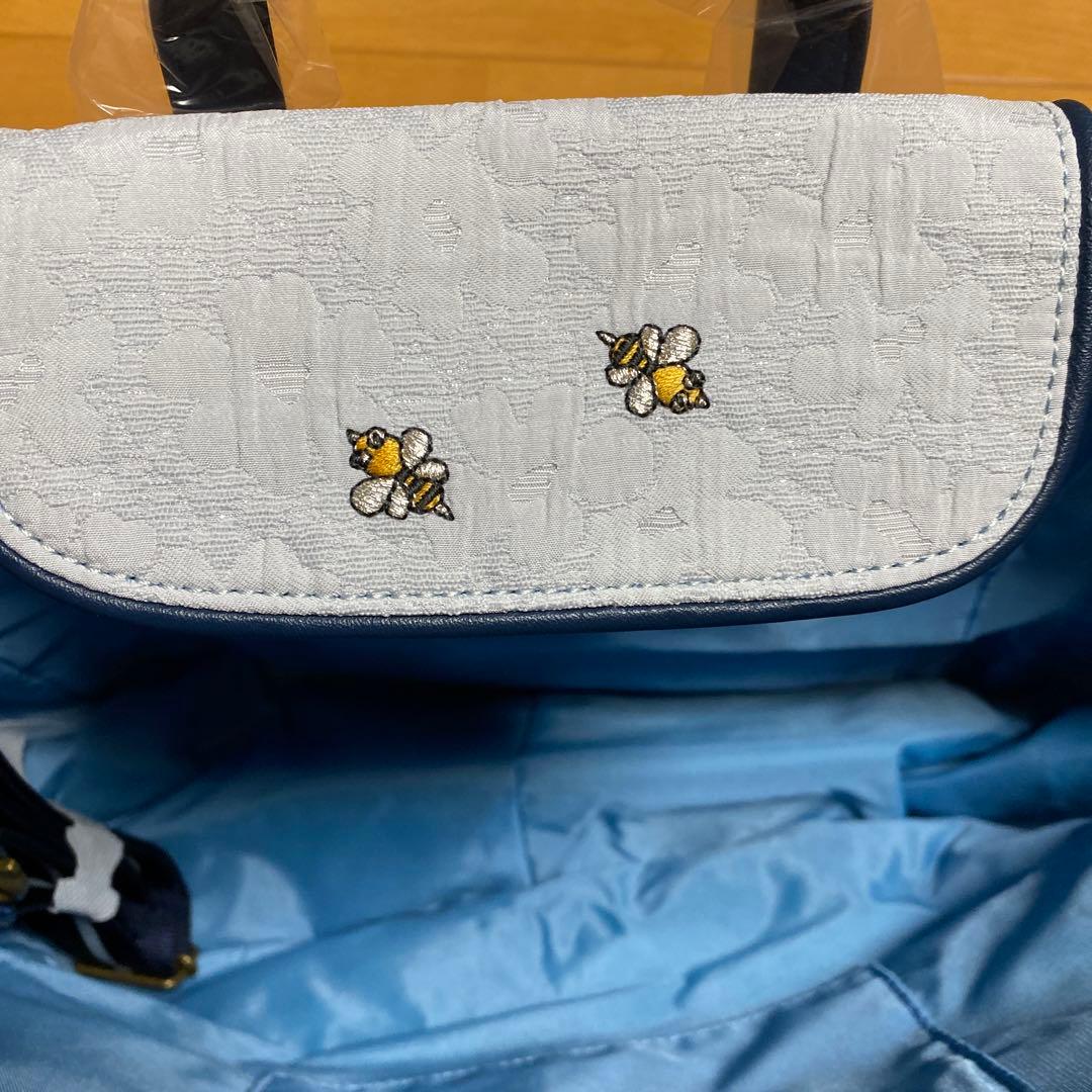 アルベロベロ、バック