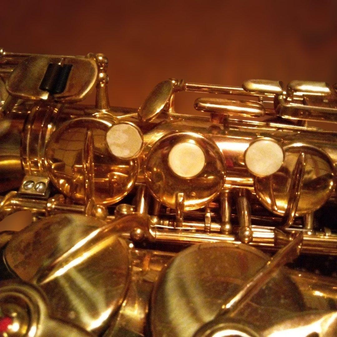 メイビスアルトサックス