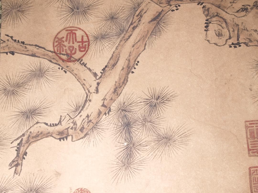 【骨董掛け軸】松図 中国李唐　肉筆保證 掛け軸　捲り AK972A12-3