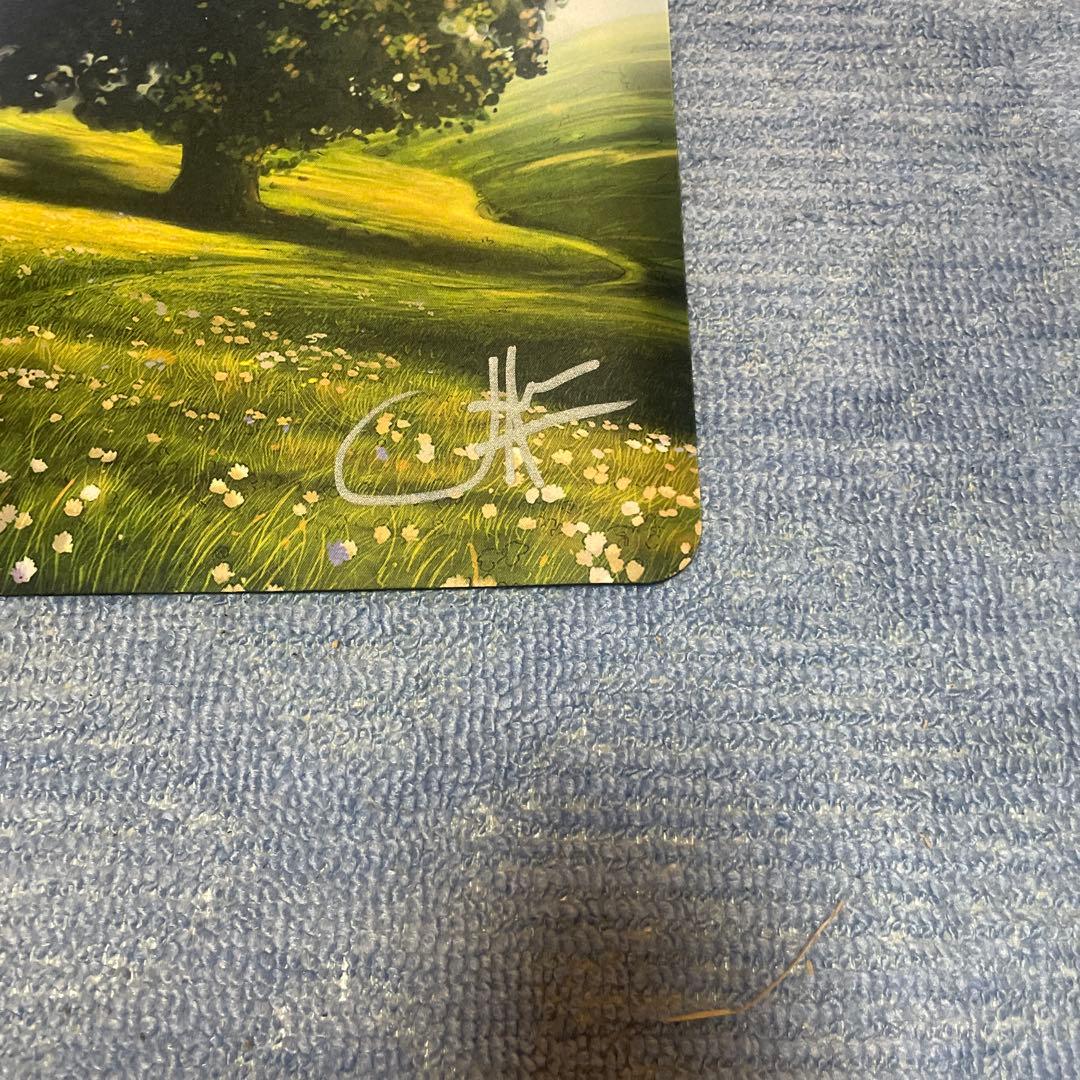 MTG 平地 John Avon サイン入り プレイマット