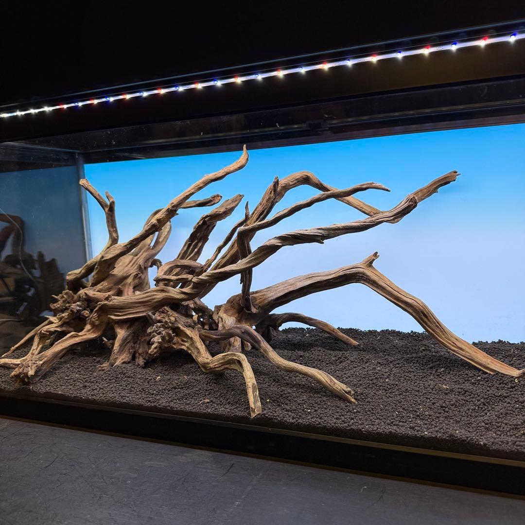 MSRW-6927 天然流木レイアウトセット　スリムウッド　アクアリウム