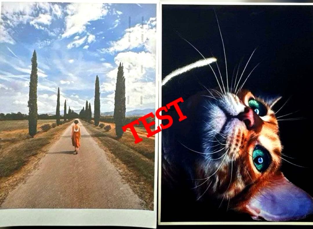 CANON PIXUS IX6830 A3 インクジェットプリンター