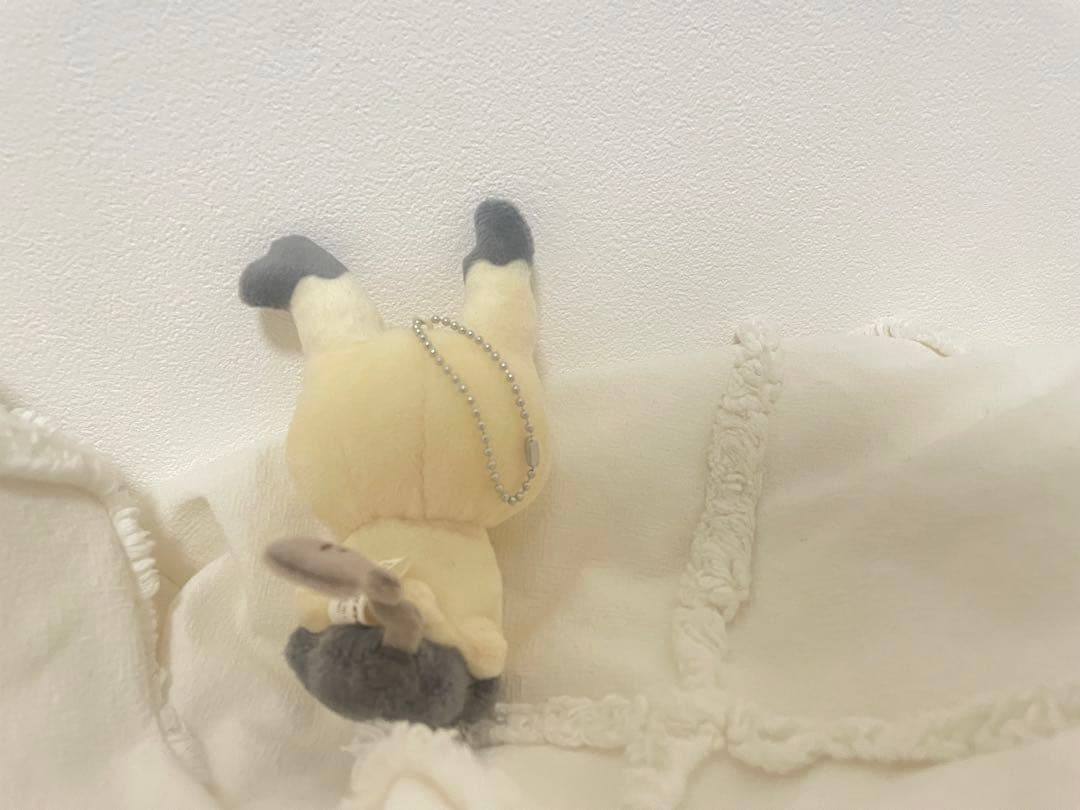 ミミッキュ へんしん！メタモン　ぬいぐるみセット 中小