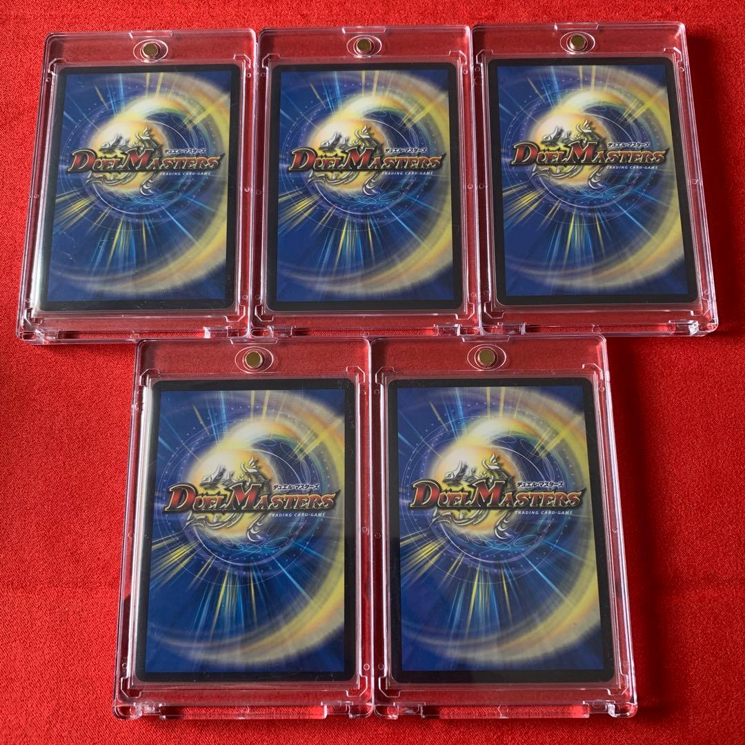 ゼニス金トレジャー5種セット