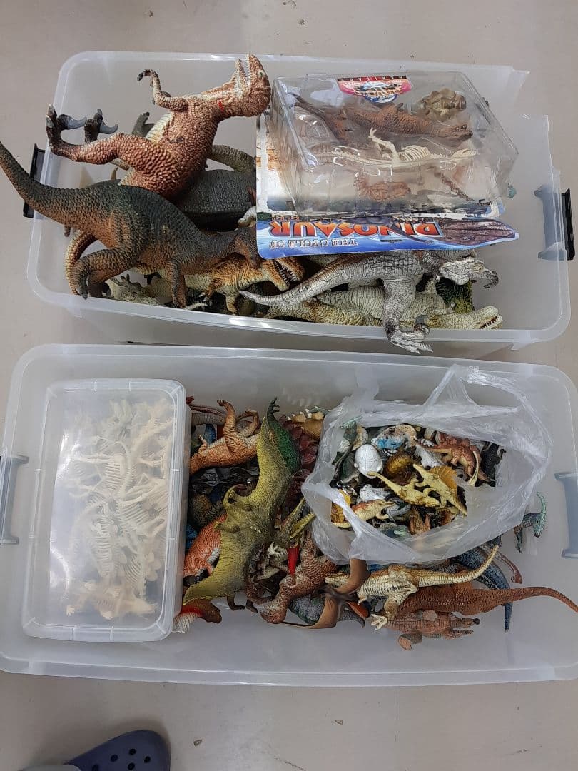 恐竜大量セットの確認用