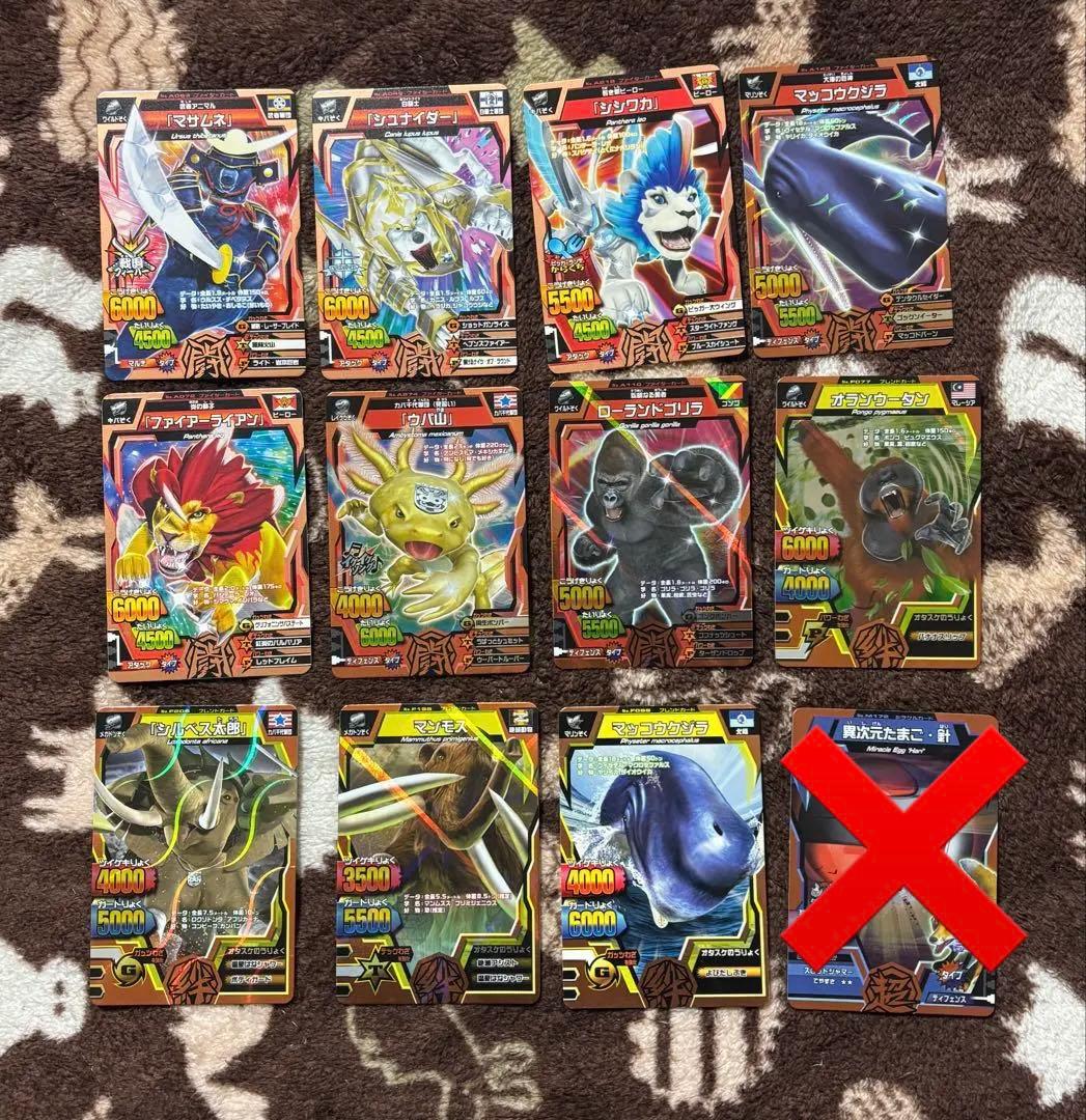 アニマルカイザー まとめ