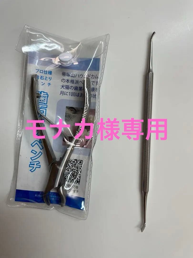 ペット用歯石取りペンチ 約15cm と　スケーラー