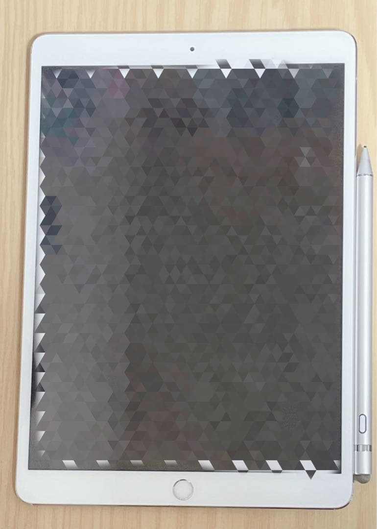 iPad Pro 10.5インチ 256GB Wi-Fiモデル+ペンセット