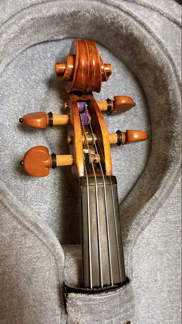 【Python3ページ】Carlo Giordano バイオリン 4/4