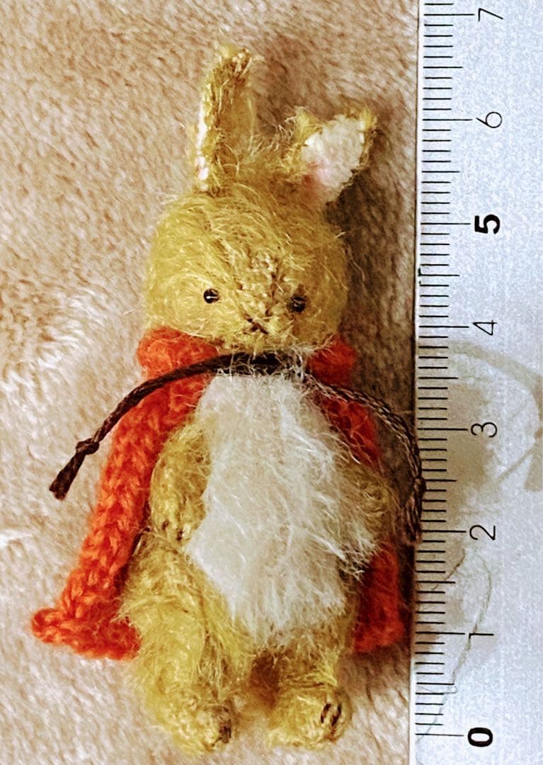 ⭐️こはるさん専用です。⭐️moriのえほん様　オレンジマントのうさぎさん