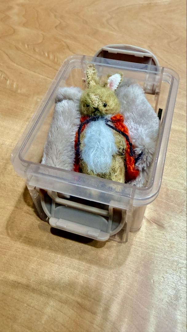 ⭐️こはるさん専用です。⭐️moriのえほん様　オレンジマントのうさぎさん