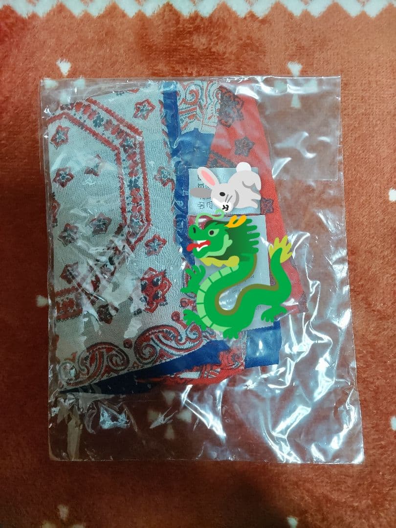 渡辺健心　ストール