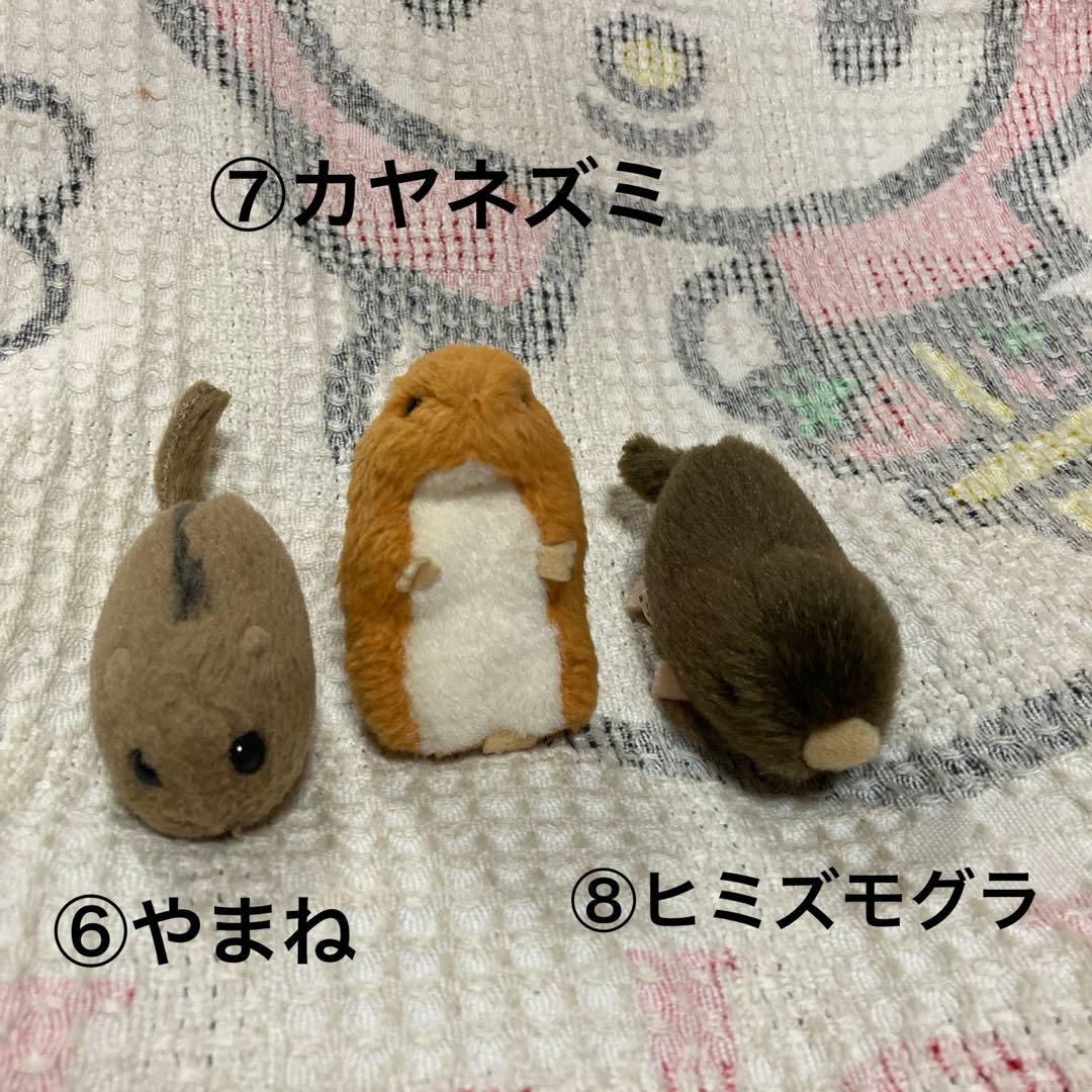 やまね工房　ぬいぐるみ　8コセット　中古品　落合けいこ