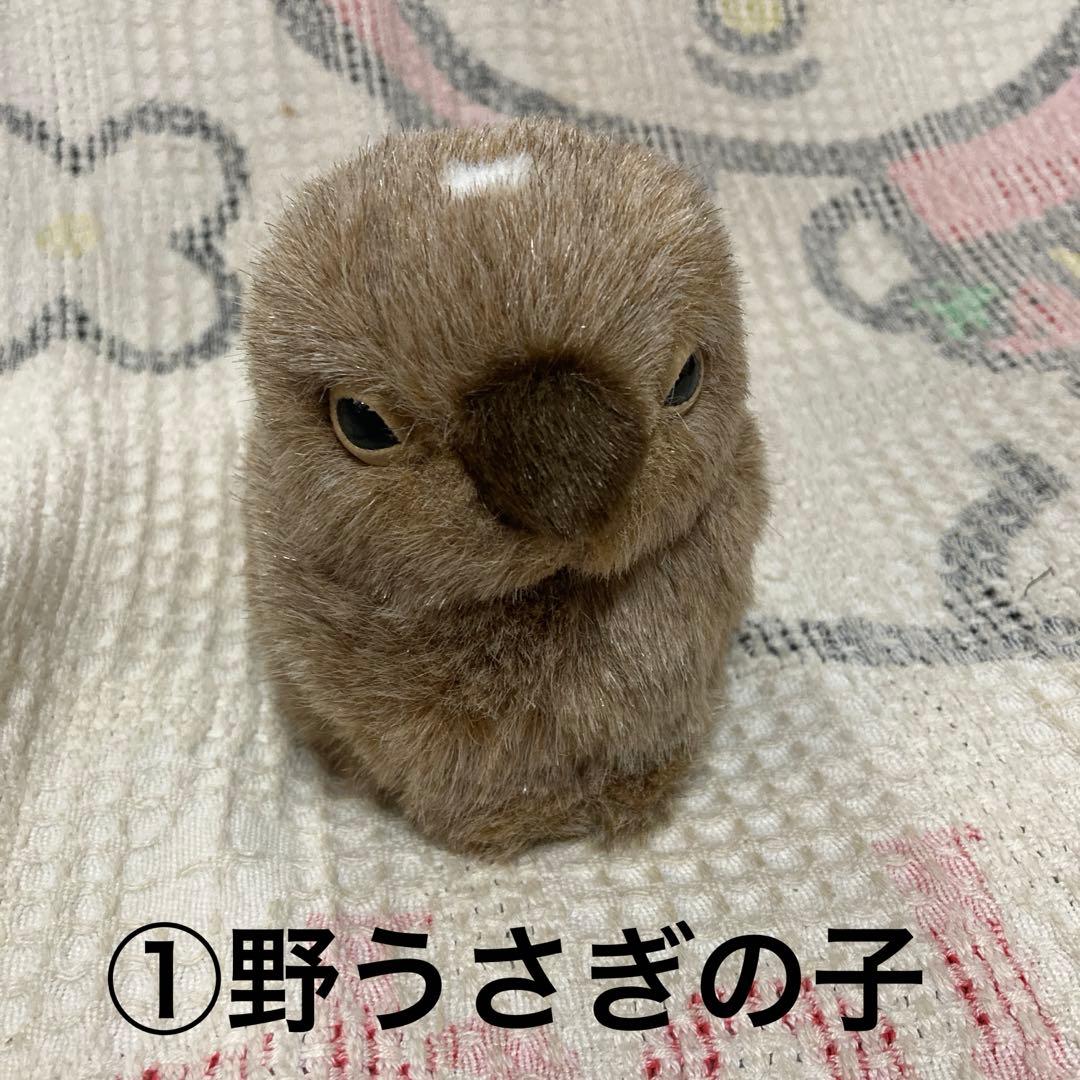 やまね工房　ぬいぐるみ　8コセット　中古品　落合けいこ