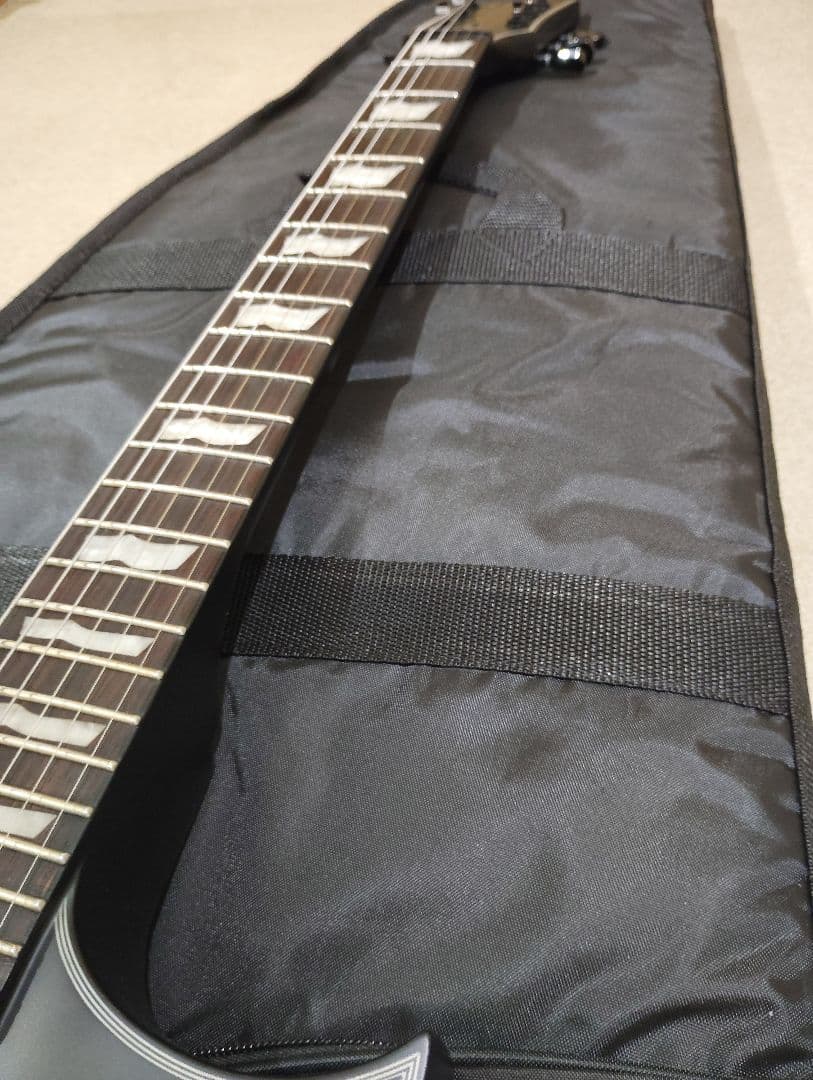LTD　ECー201　Black Stain　ソフトケース付