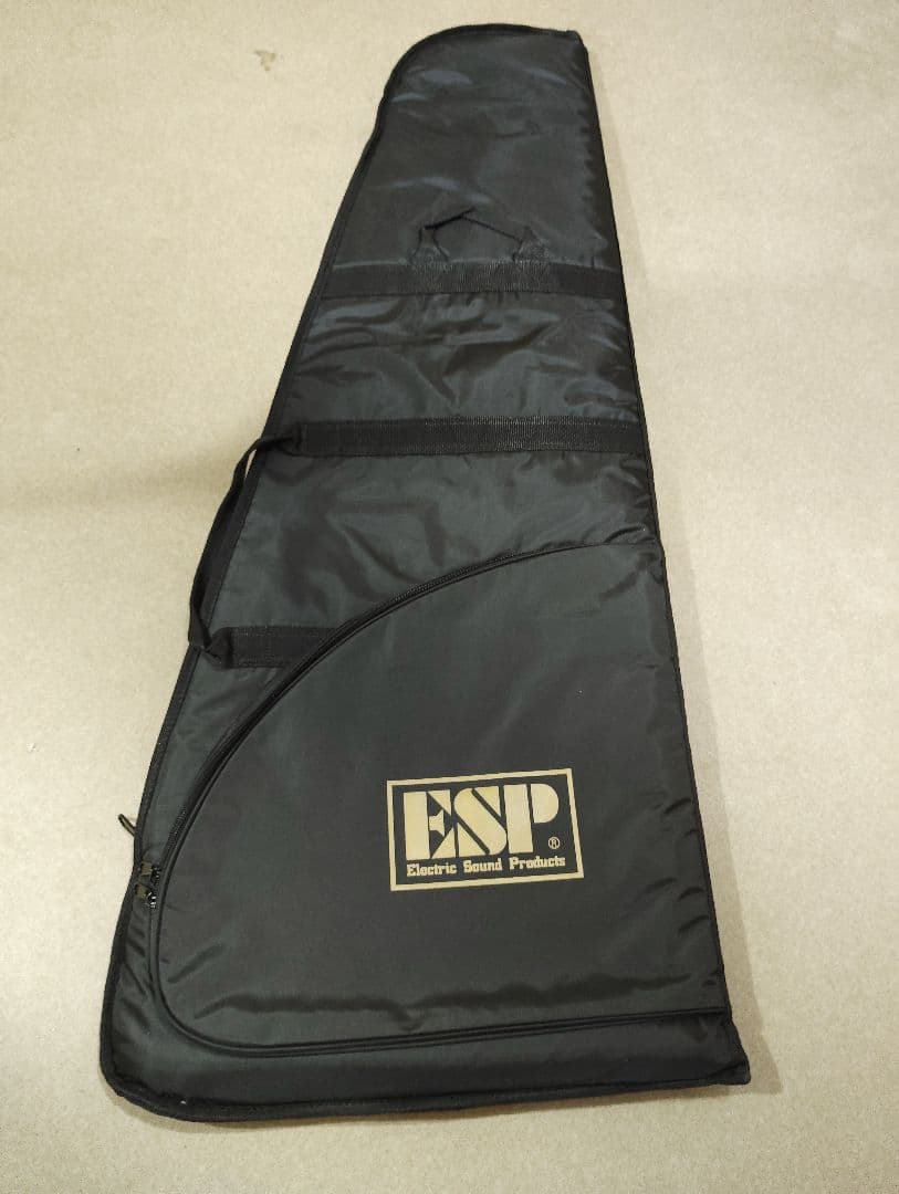 LTD　ECー201　Black Stain　ソフトケース付