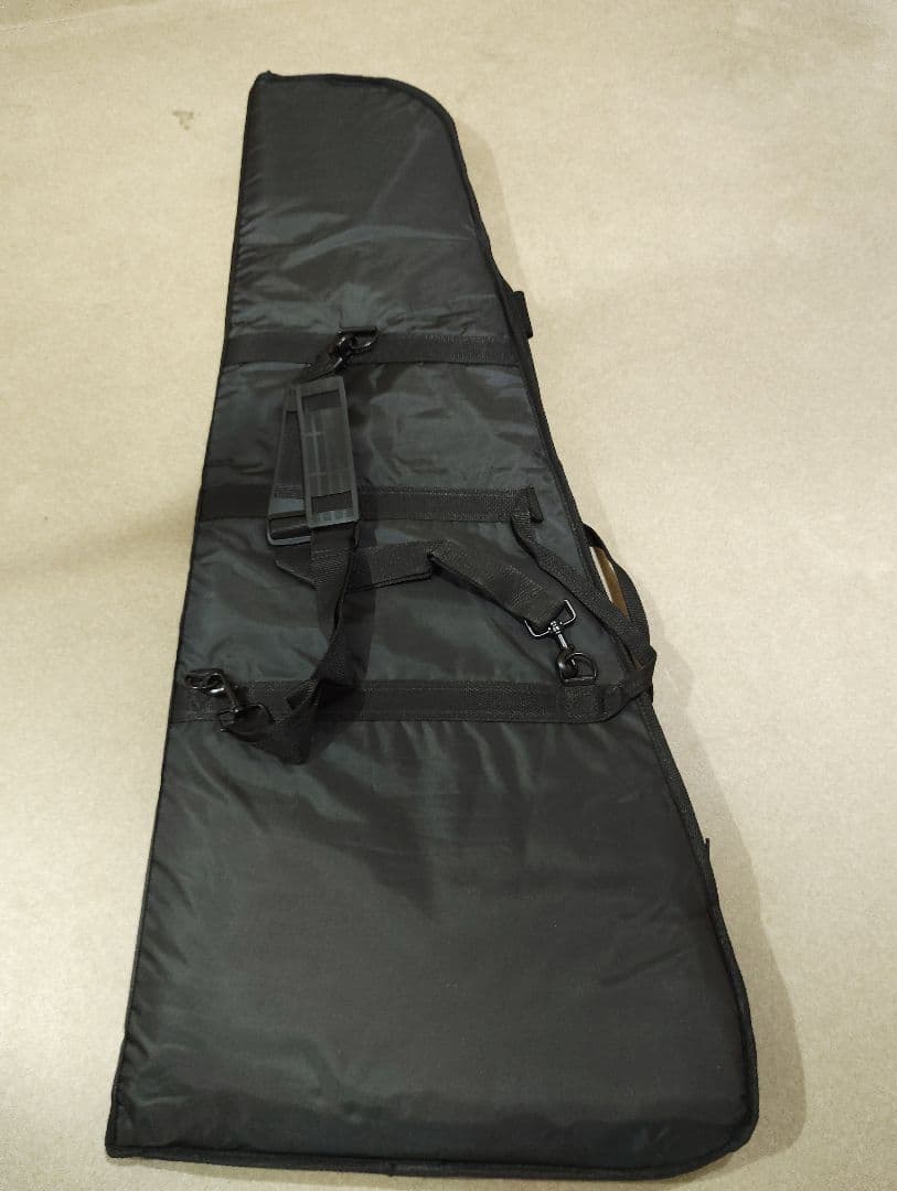 LTD　ECー201　Black Stain　ソフトケース付