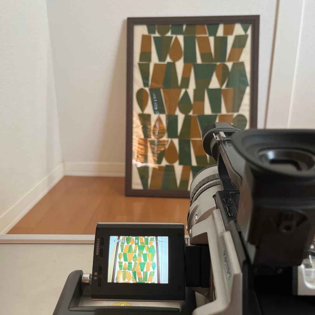 付属品多数　 SONY　Handycam　DCR-VX2000