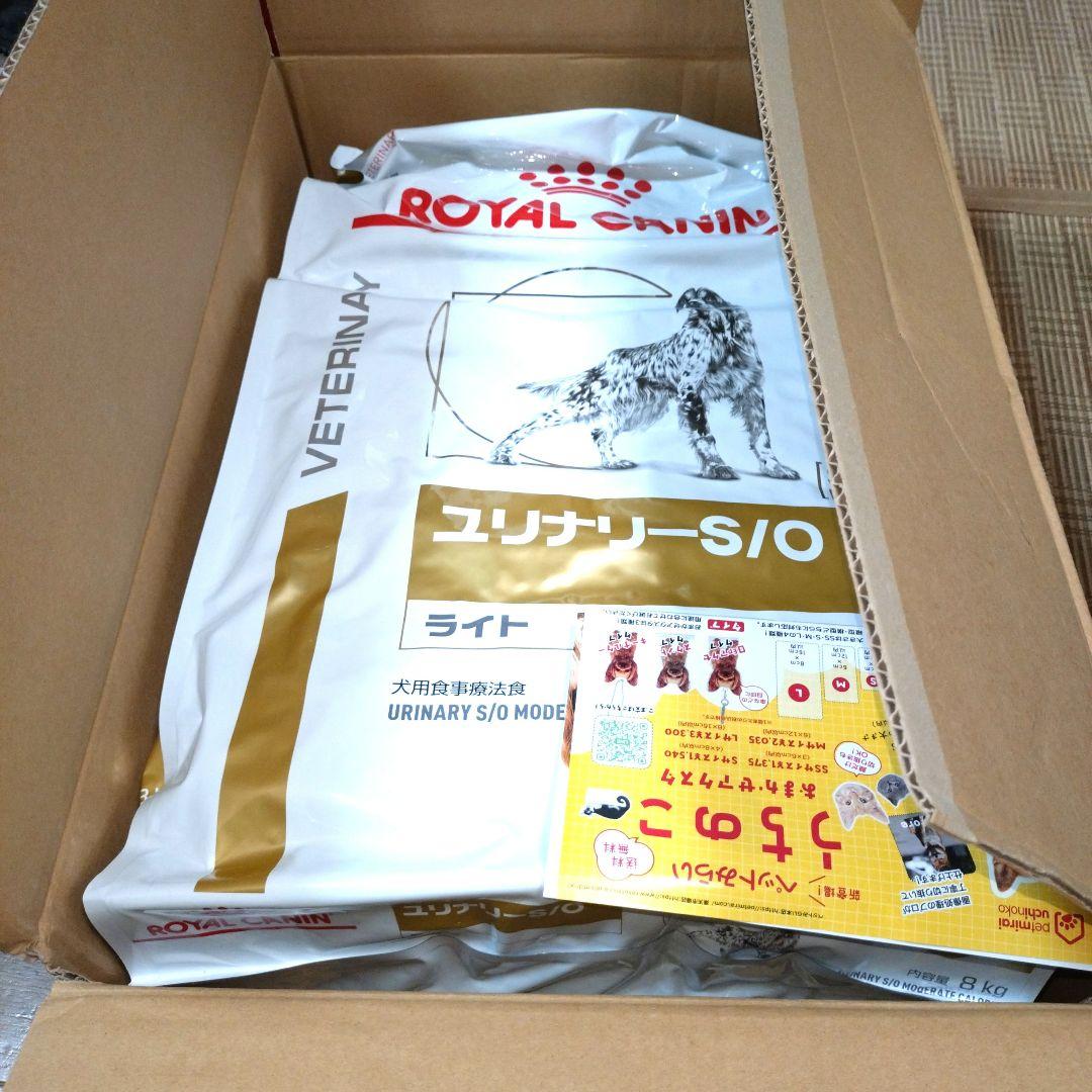 大型犬のエサ（ロイヤルカナン）