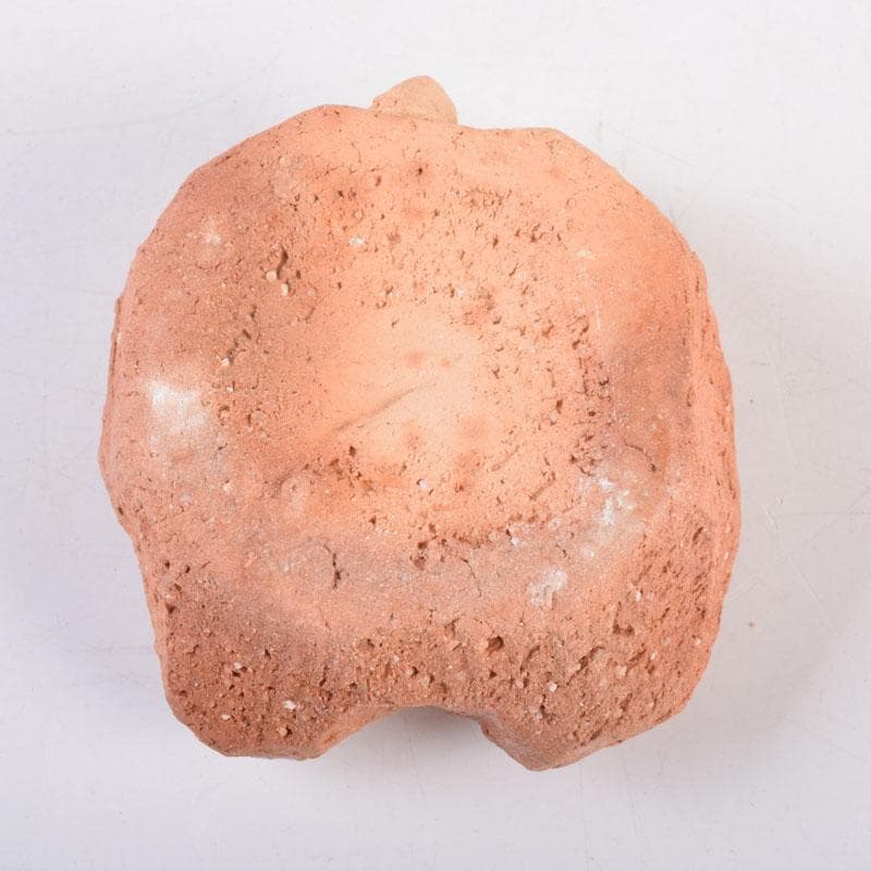 茶道具　佐々木昭楽作　一刀彫　猿　香合　共布共箱　C　8405