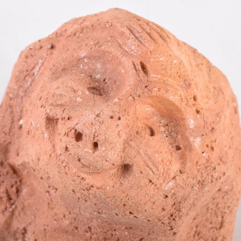 茶道具　佐々木昭楽作　一刀彫　猿　香合　共布共箱　C　8405