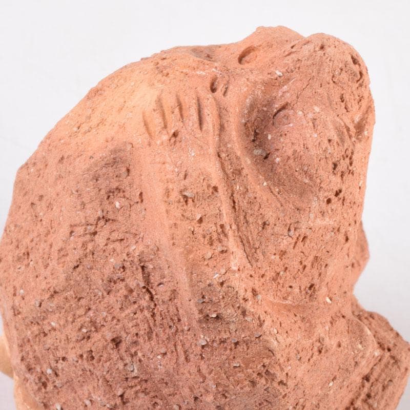 茶道具　佐々木昭楽作　一刀彫　猿　香合　共布共箱　C　8405