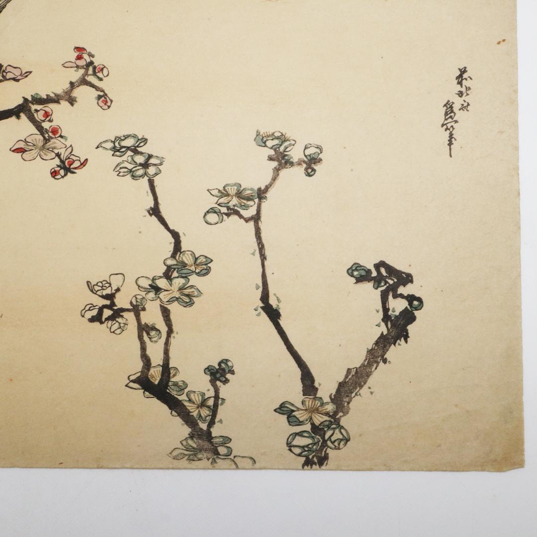 葛飾北斎　大判　木版画　花鳥図　浮世絵　梅　鳥