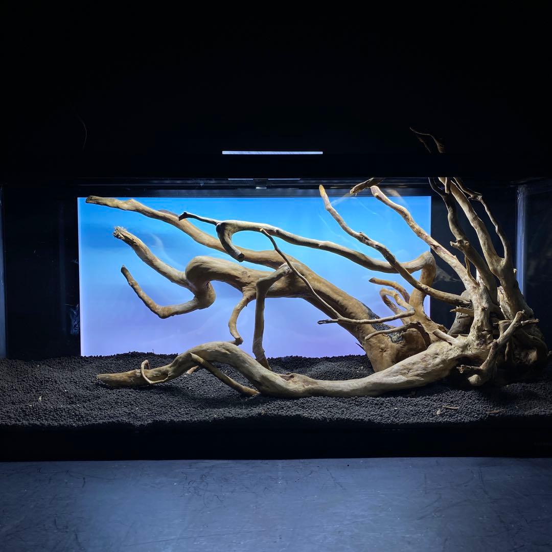 MDW-6358 ブランチウッド3本セット　90cm以上水槽用流木セット　枝流木