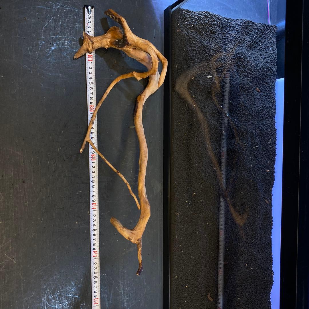 MDW-6358 ブランチウッド3本セット　90cm以上水槽用流木セット　枝流木