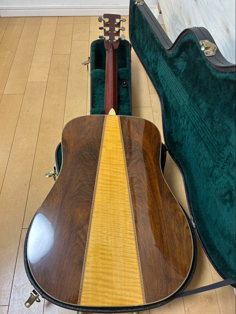 MORRIS TF-801 & Martin ハードドケース