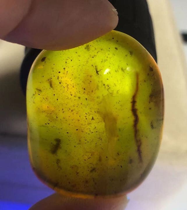 琥珀 虫入り アンバー  こはく 天然 ユニーク 天然石 虫入り プレゼント