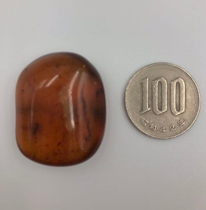 琥珀 虫入り アンバー  こはく 天然 ユニーク 天然石 虫入り プレゼント